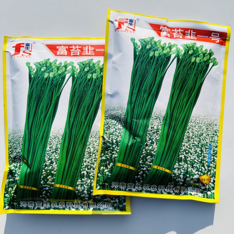 富苔韭一号四季韭苔种子苔韭种籽多年采春夏秋冬季播蔬菜种孑盆栽