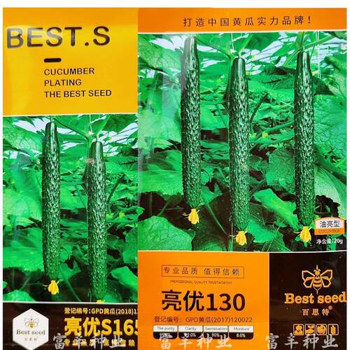 百思特亮优S165亮优S166亮优130黄瓜种子高产油亮黄瓜种籽春秋种