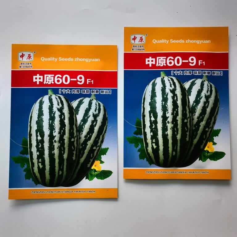 中原60-9早熟杂交甜瓜种子耐低温瓜皮深绿有青白色条纹肉绿色肉