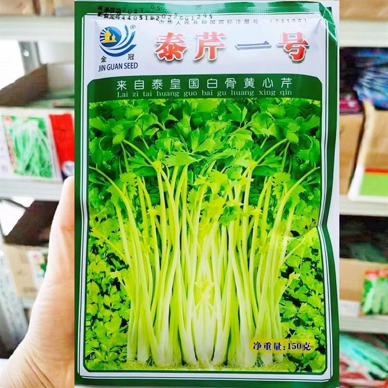 泰芹一号芹菜种子 泰国引进黄心芹菜种子 耐热耐寒香芹种子香味浓