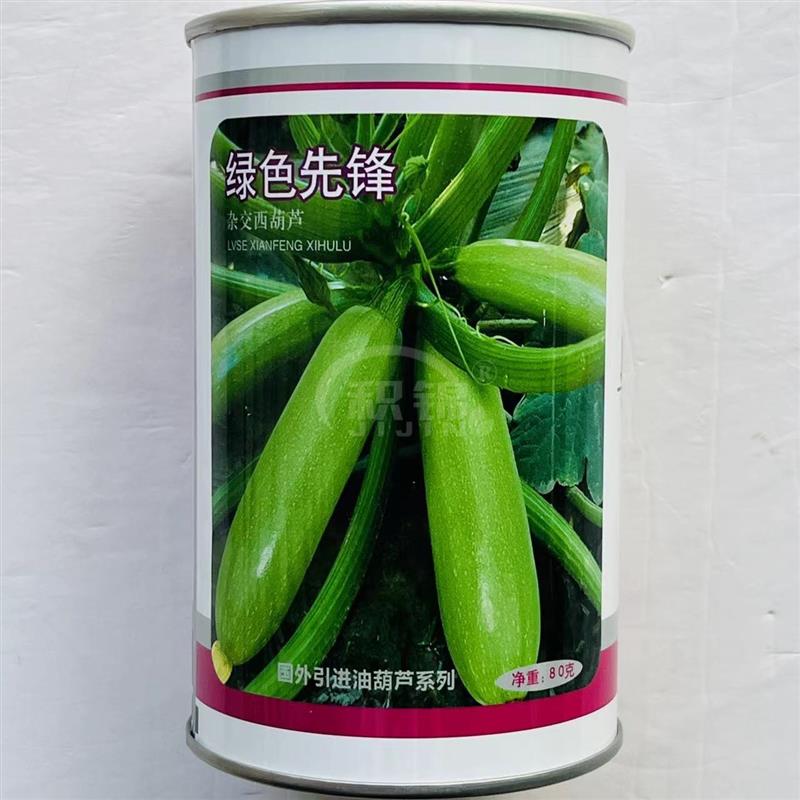 澳加美绿色先锋西葫芦种子占瓜春秋冬季种植高产易种茭瓜种菜种籽