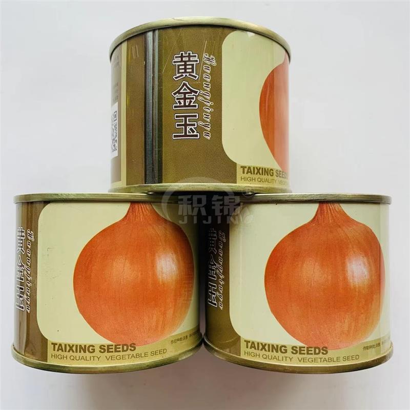 泰星黄金玉黄皮洋葱种子蔬菜优质大根高产抗病耐贮运农家秋季播种