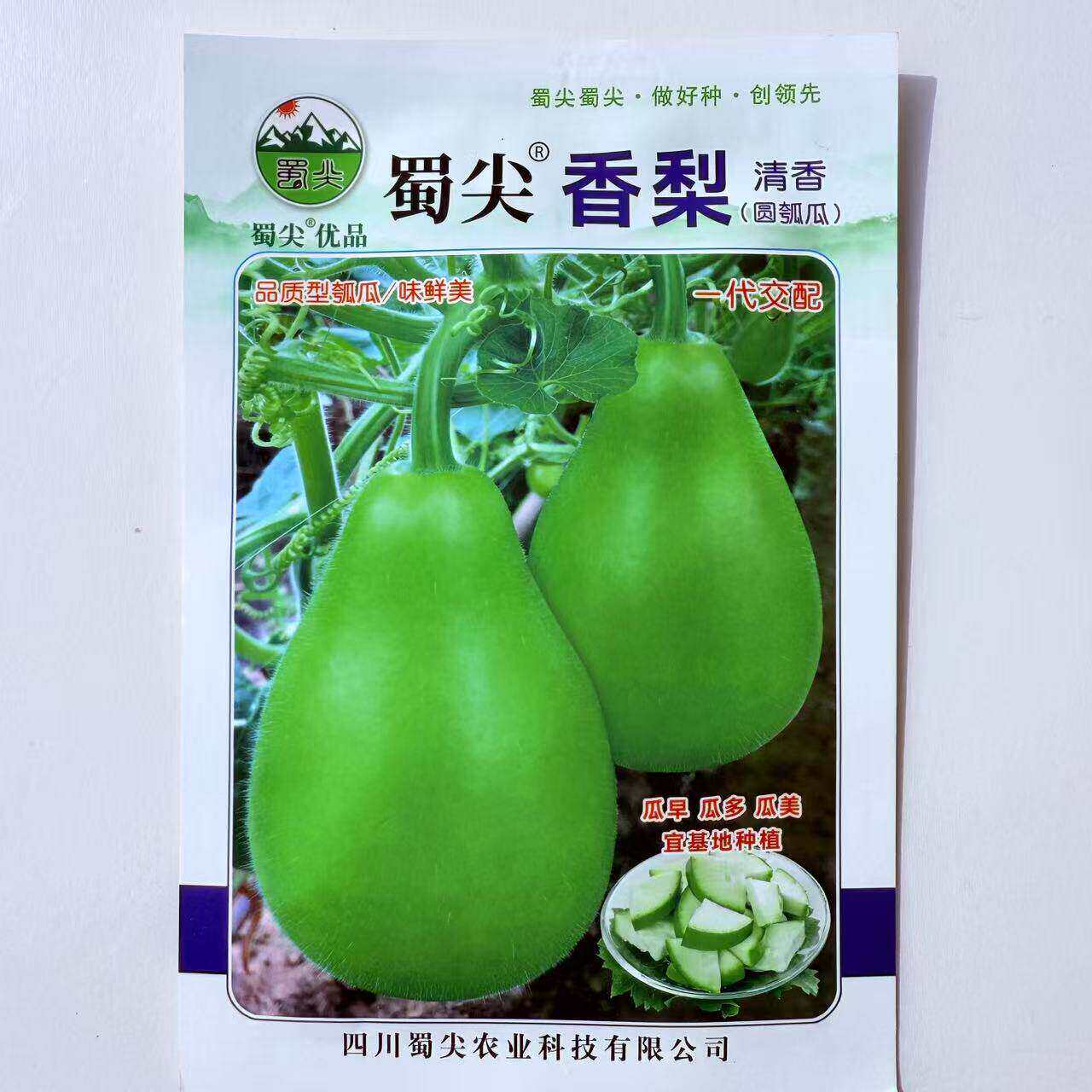香梨圆瓠瓜种子清香早熟