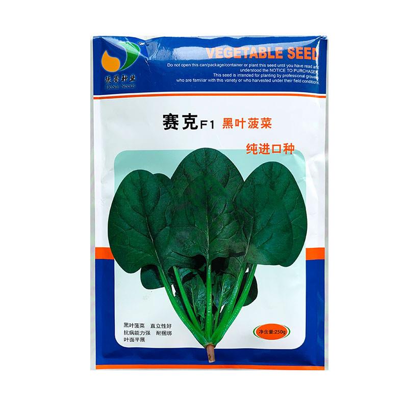 菠菜种子赛克黑叶菠菜种秋冬菜种抗病耐寒耐热大叶菠菜种籽孑包邮
