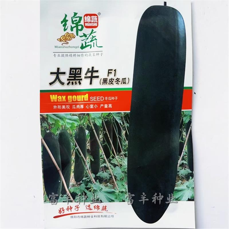 绵蔬大黑牛黑皮冬瓜种子特大巨型长炮弹型大冬瓜种籽肉厚空腔小