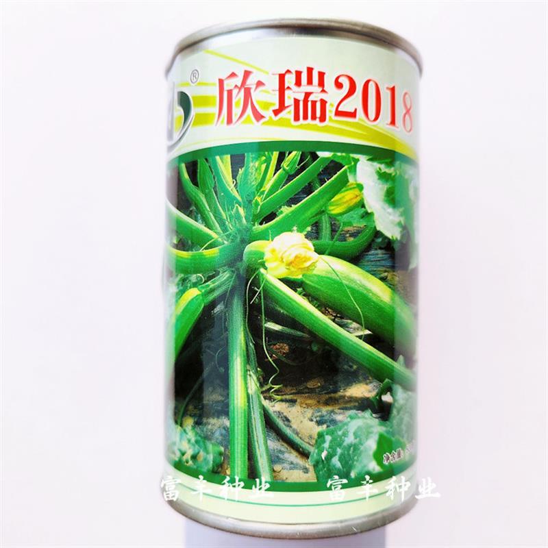 欣瑞2018西葫芦种子抗病高产翠绿亮丽角瓜种子春秋季大棚露地种