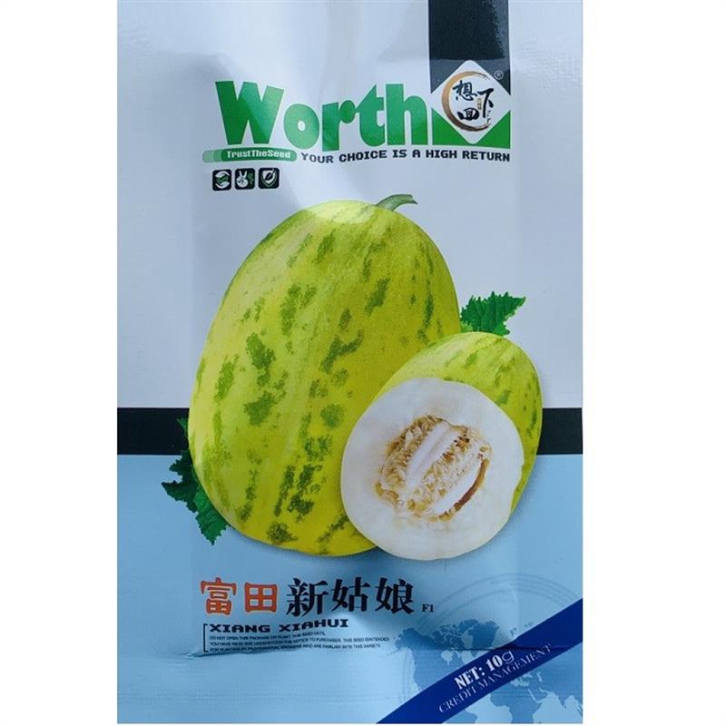 富田新姑娘甜瓜种子薄皮豹纹香瓜种籽早熟超甜白肉甜瓜种子基地种