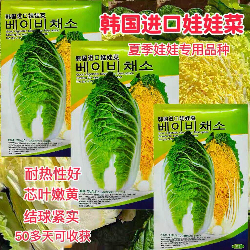 韩国夏贝贝进口夏季耐热