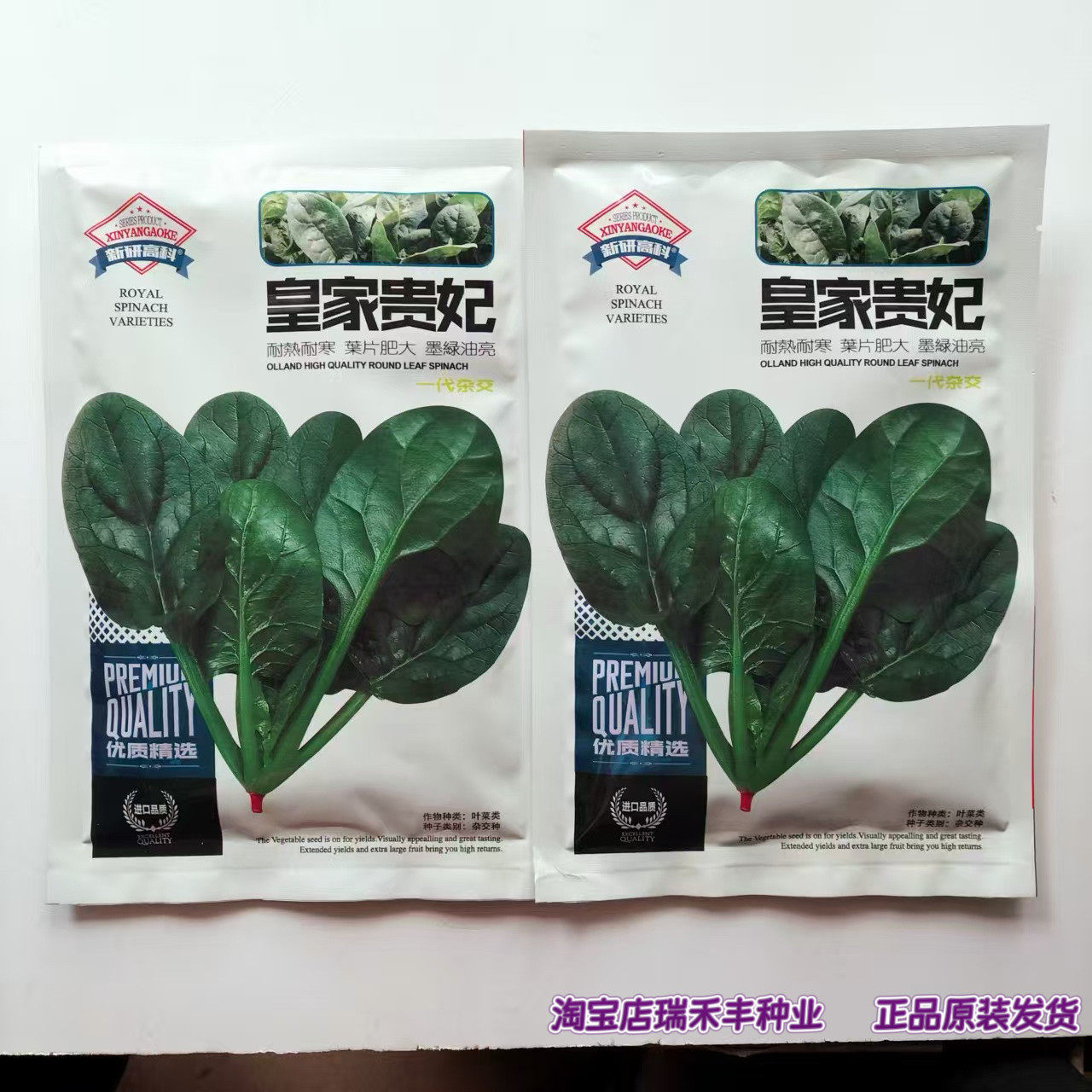 皇家贵妃菠菜种子墨绿油
