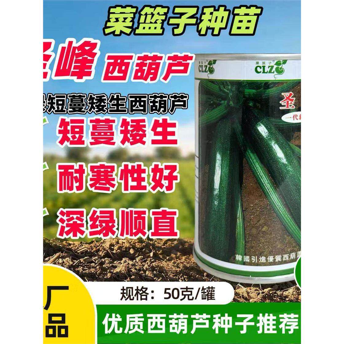 圣峰西葫芦种子绿角瓜种