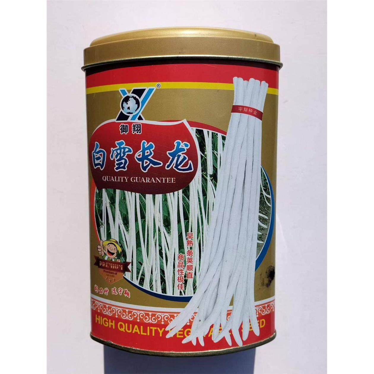 白雪长龙豇豆种子高产豆