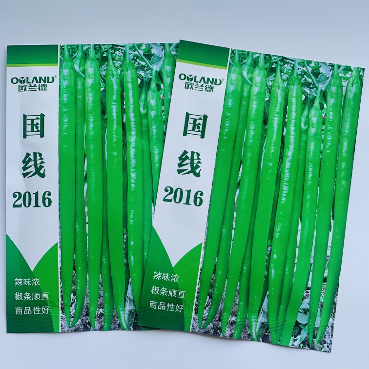 欧兰德国线2016特长线椒辣椒种籽高产早熟顺直香辣长条椒种子