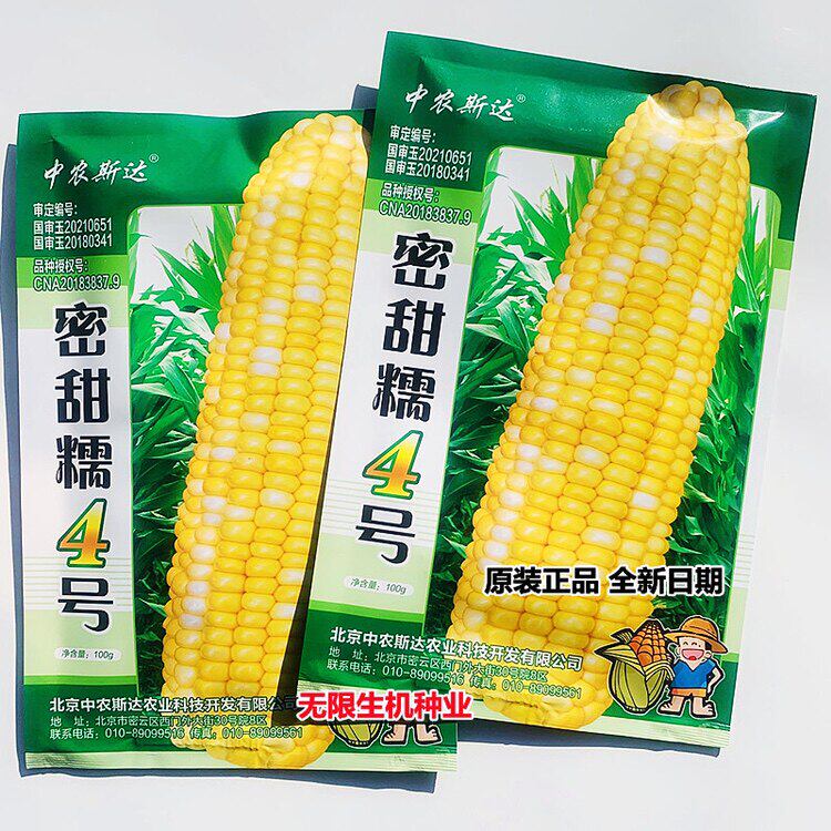 蜜甜糯4号双色玉米种子粘