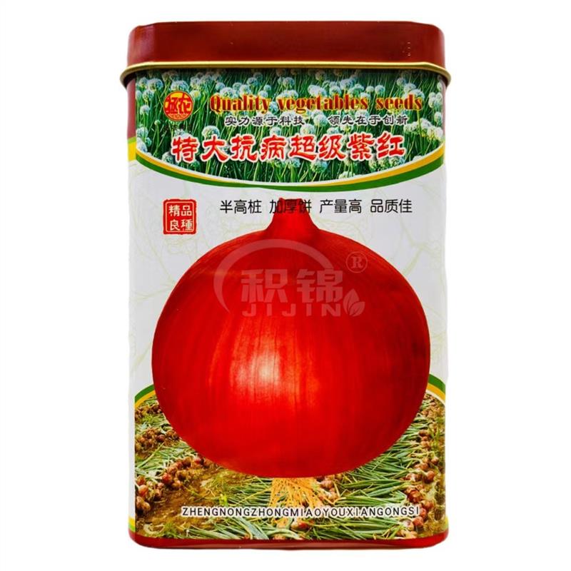 拯农特大抗病超级紫红洋葱种子中早熟抗病外皮紫红色秋播蔬菜种籽