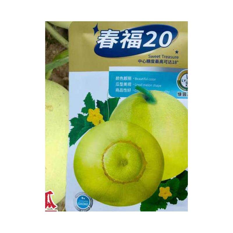 春福20甜瓜种子早熟杂交