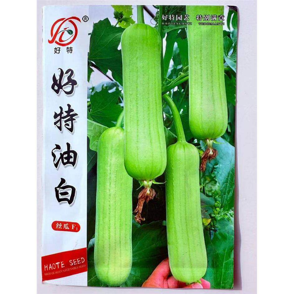 好特油白丝瓜种子F1中短
