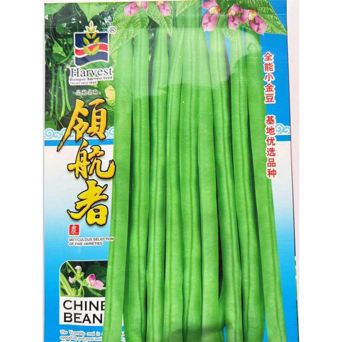 领航者小金豆种子四季豆