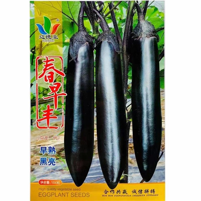 迈德豪春早丰茄子种子早熟紫黑长棒茄子种籽春秋季大棚露地种子