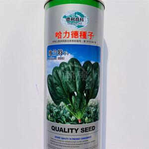 哈力德种子欧兰特F1菠菜种籽浓绿油亮生长速度快高产抗病春秋播种