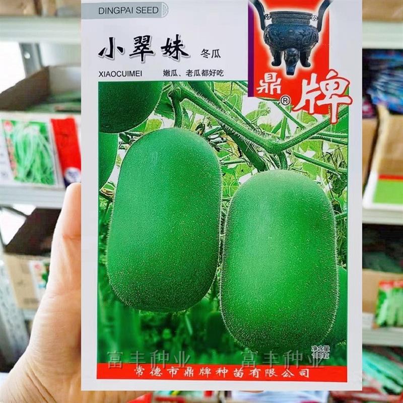 鼎牌小翠妹冬瓜种子 早熟冬瓜种子 高产高圆形 果肉乳白 冬瓜种子