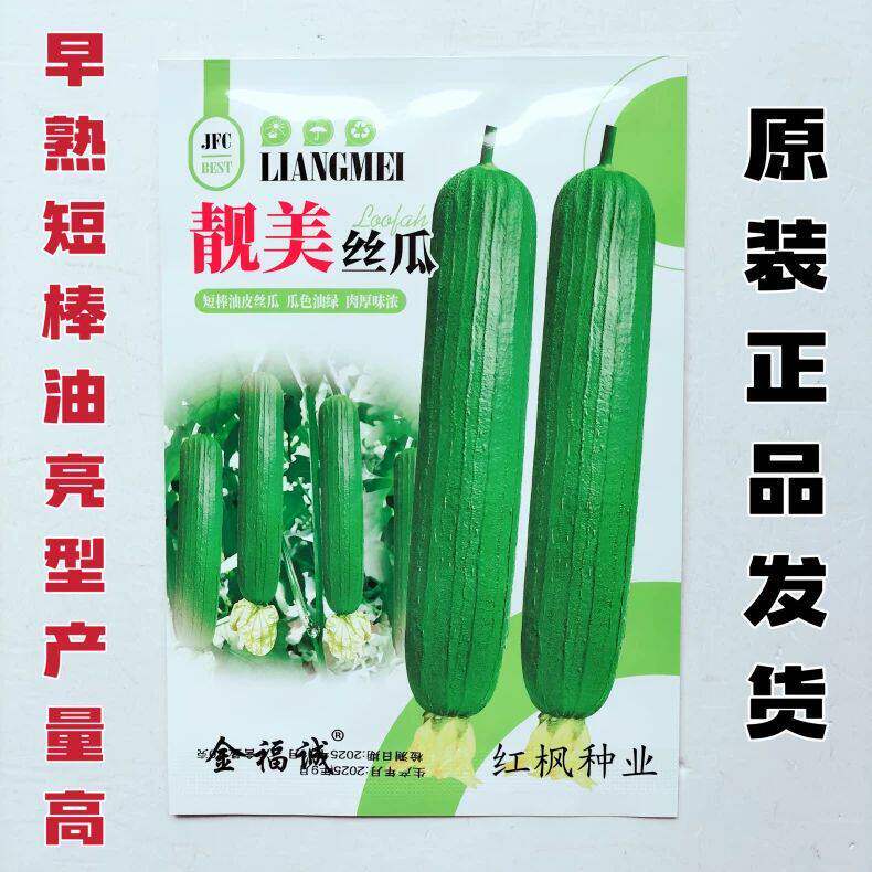 靓美丝瓜种子早熟高产肉