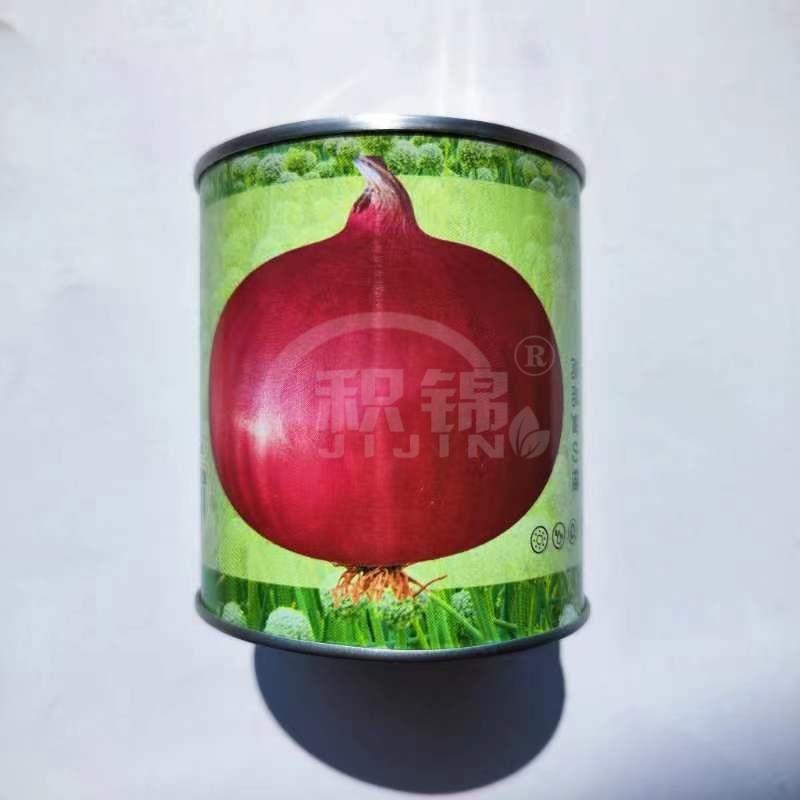 紫璐3号紫皮洋葱种子甜脆大果高产抗病商品性佳农家春秋播种精选