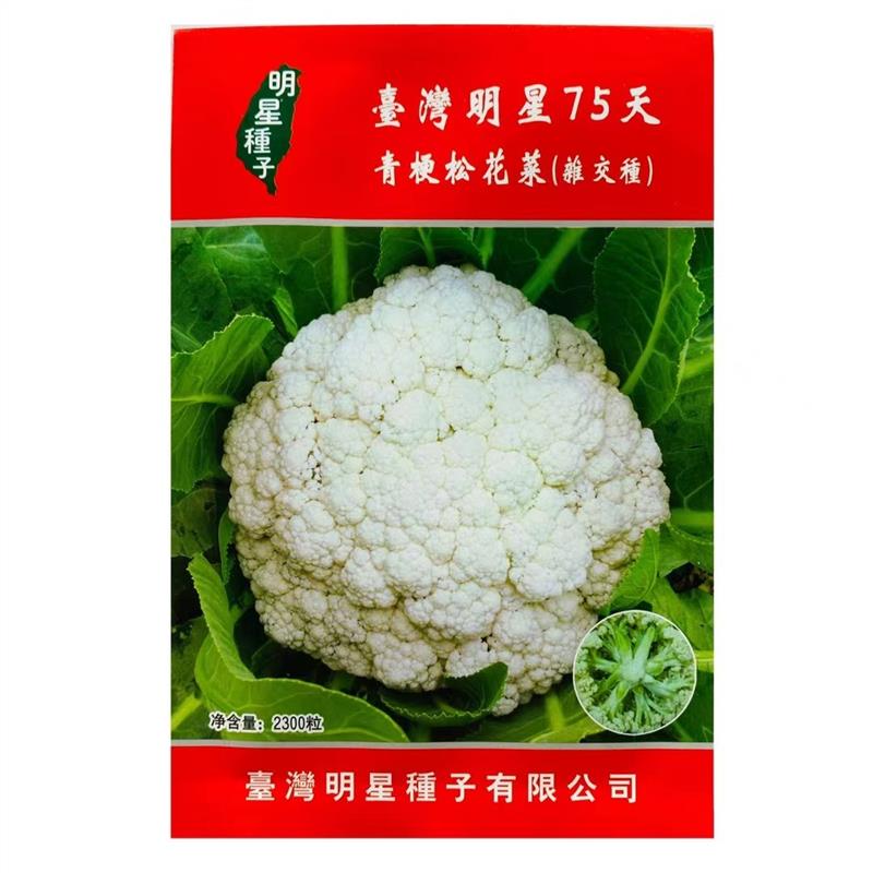 台湾明星55/60/66/75/80青梗松花菜种子耐热耐寒花椰菜花菜蔬菜种