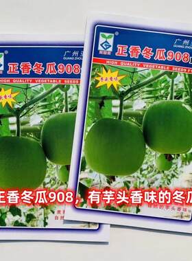 新型小冬瓜种子耐热圆形肉质细腻适宜全国各地春夏秋播四季蔬菜籽