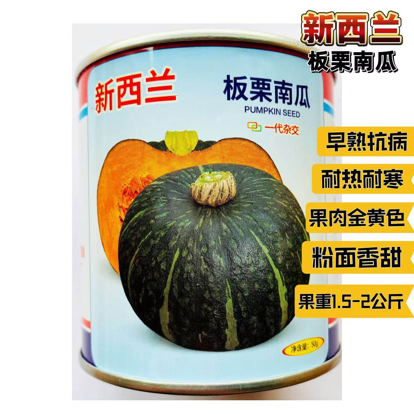 新西兰南瓜种子粉糯板栗
