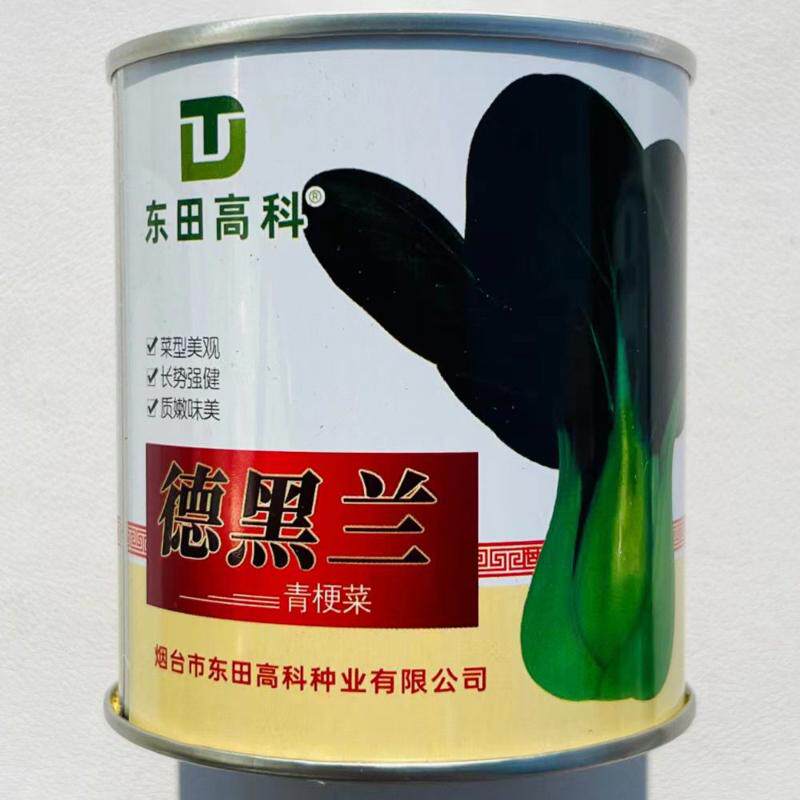 德黑兰青梗菜种子上海耐