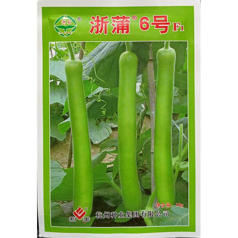 浙蒲6号瓠子种瓜夜开花种