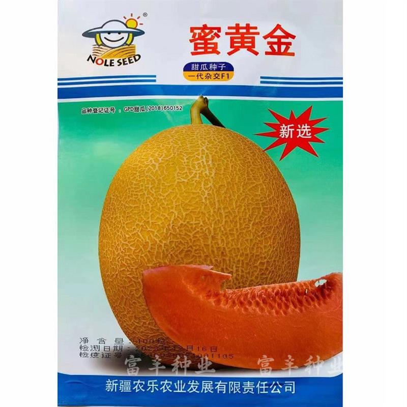 新疆蜜黄金哈密瓜种子金黄皮桔红肉网纹瓜甜瓜种籽火洲蜜168