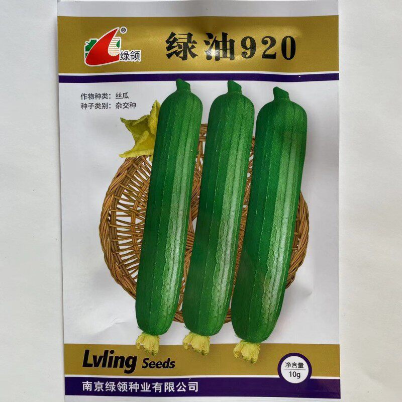 绿领绿油920油皮丝瓜香短