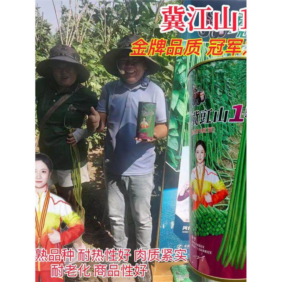 拖车头冀豇山1号翠绿色豆