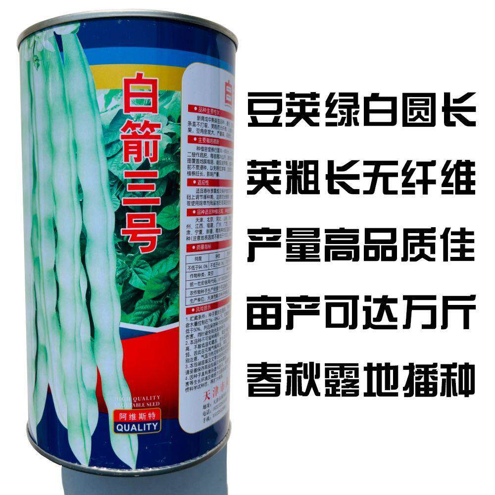 压趴架架豆种子九粒白芸豆种子早熟蔓生白色豆角种子高产春秋季种