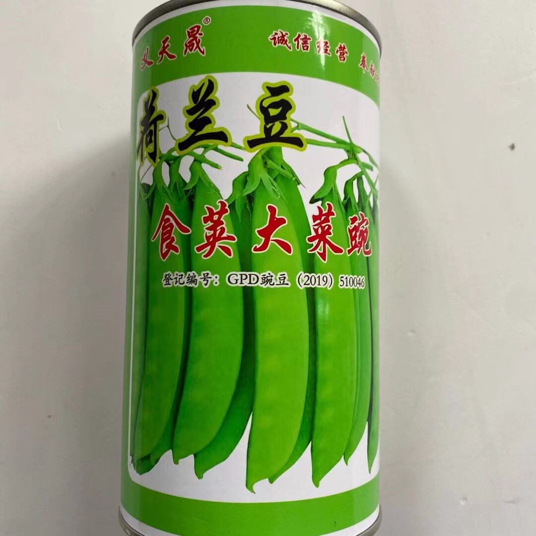 青岛大菜豌种子食荚菜碗豆荚荷兰豆豌豆花白色双生春秋播蔬菜种孑