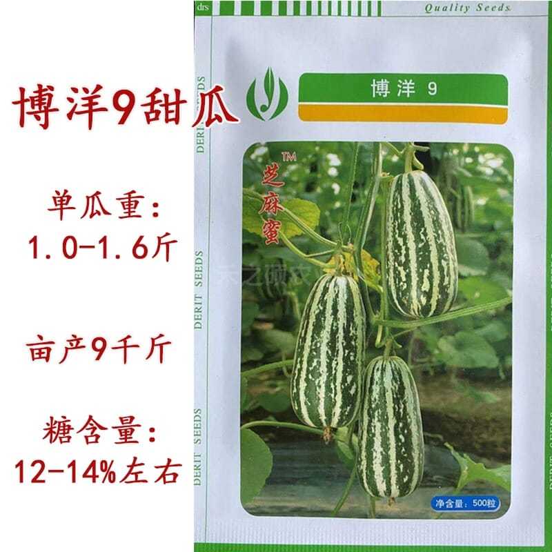 博洋9号甜瓜种子 正品博洋九号羊角蜜种甜王早熟高甜酥脆抗病香瓜