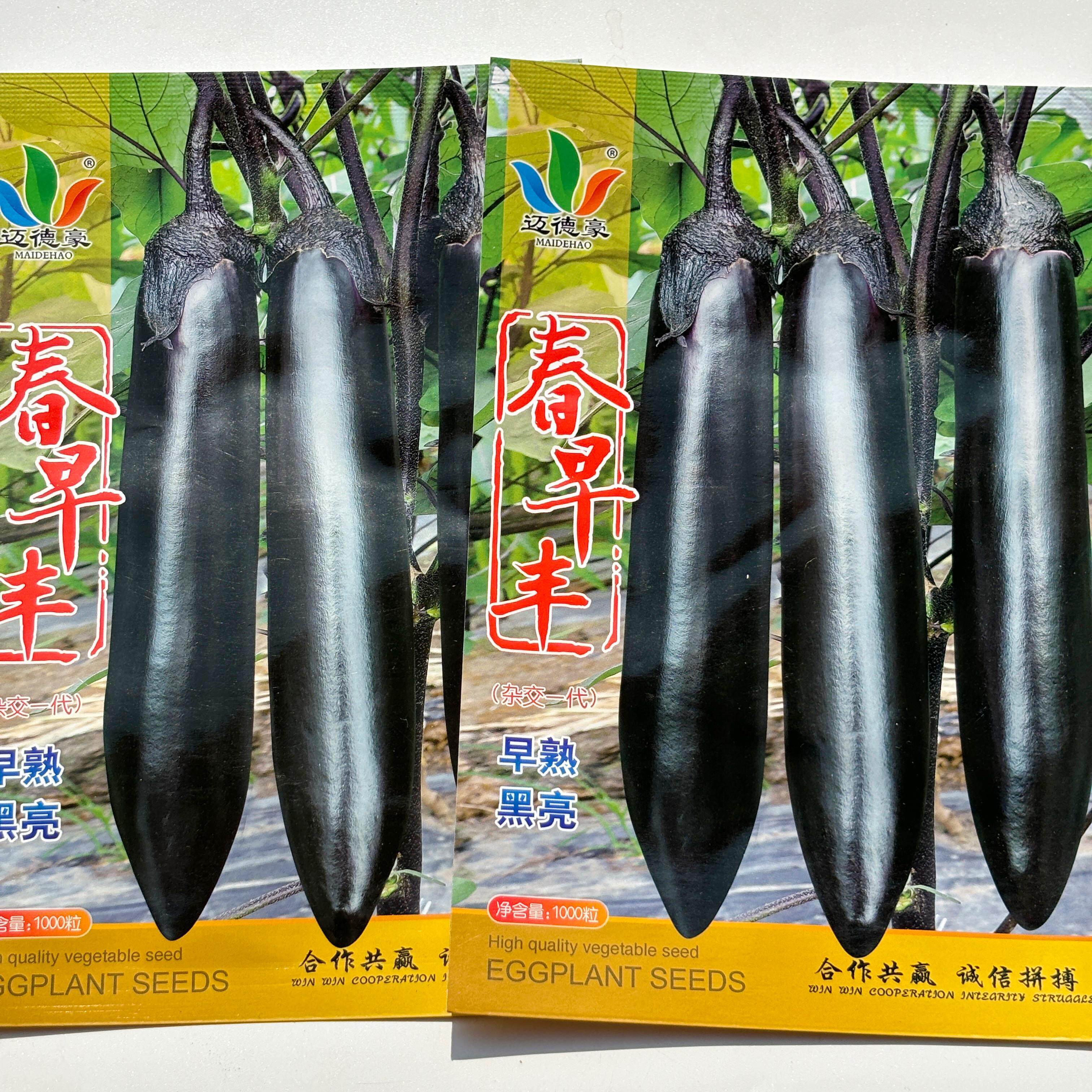 春早丰紫黑长茄种子杂交