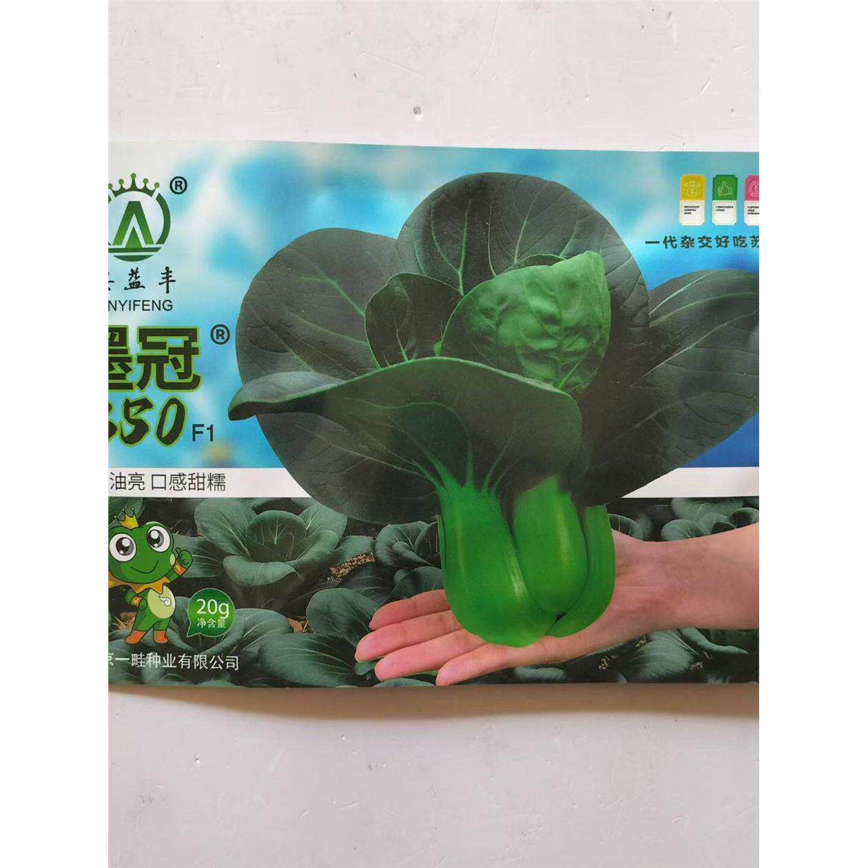 墨冠350/78青菜种子油亮