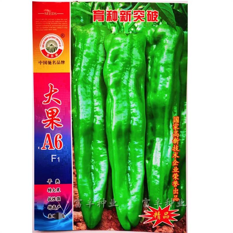 大果A6牛角椒种子微辣特大果早熟高产粗长牛角椒薄皮青椒种籽
