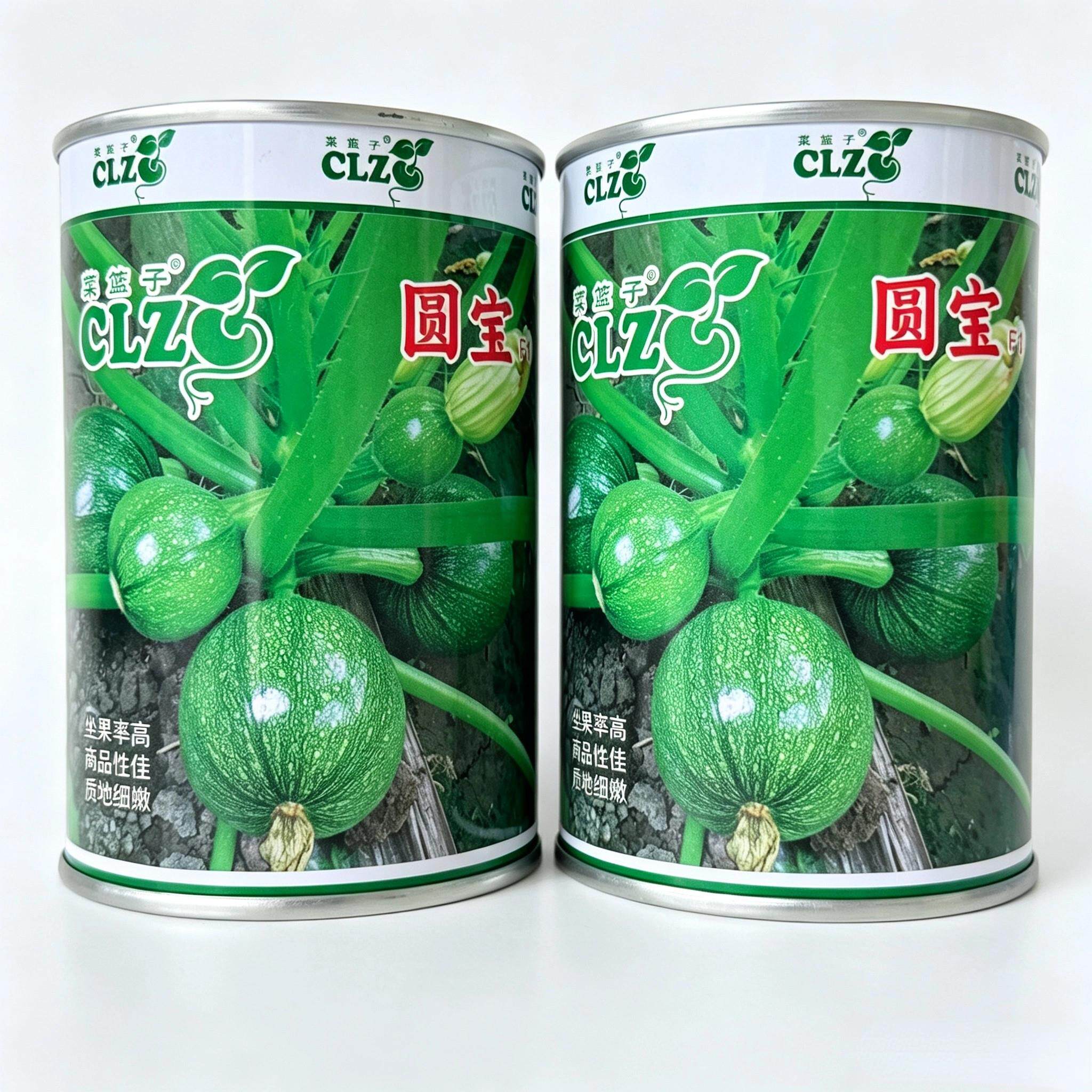 菜篮子圆宝圆西葫芦种子
