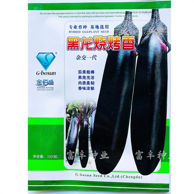 黑龙烧烤香烧烤茄种子杂交一代黑亮粗棒茄子种籽早熟抗病香味浓厚