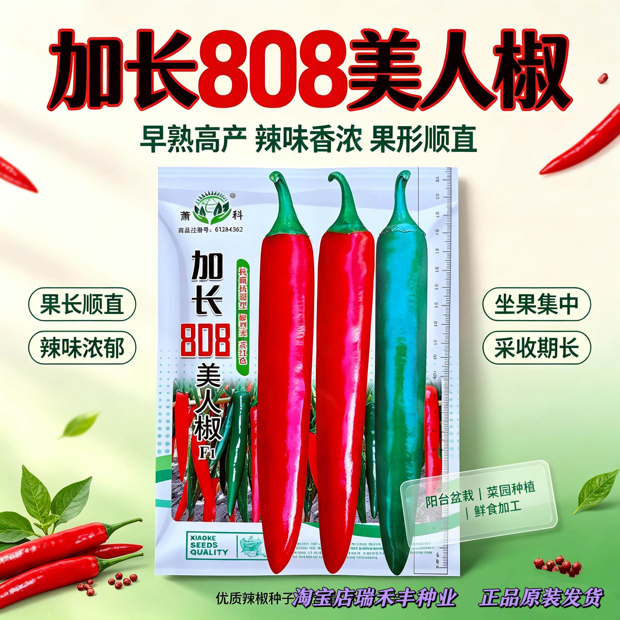 加长808美人椒种子中早熟