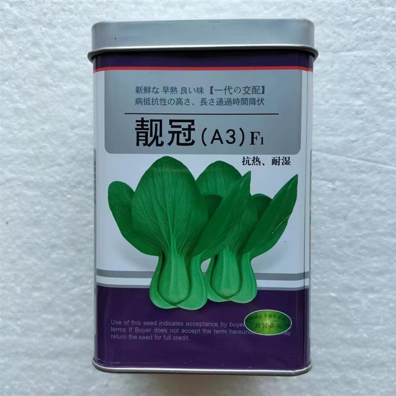 靓冠A3抗热耐湿青梗菜种子杂交青梗菜种子束腰小油菜阳台农家种籽