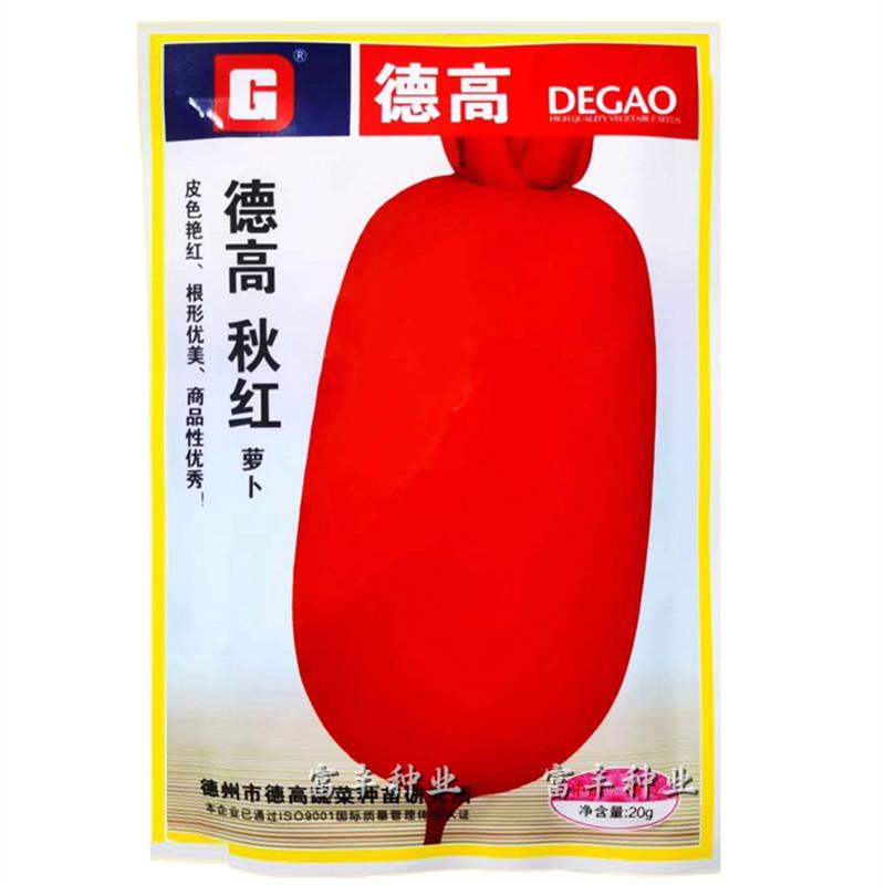 德高秋红萝卜种子一代杂交满身红萝卜种子秋季红皮白心萝卜种籽