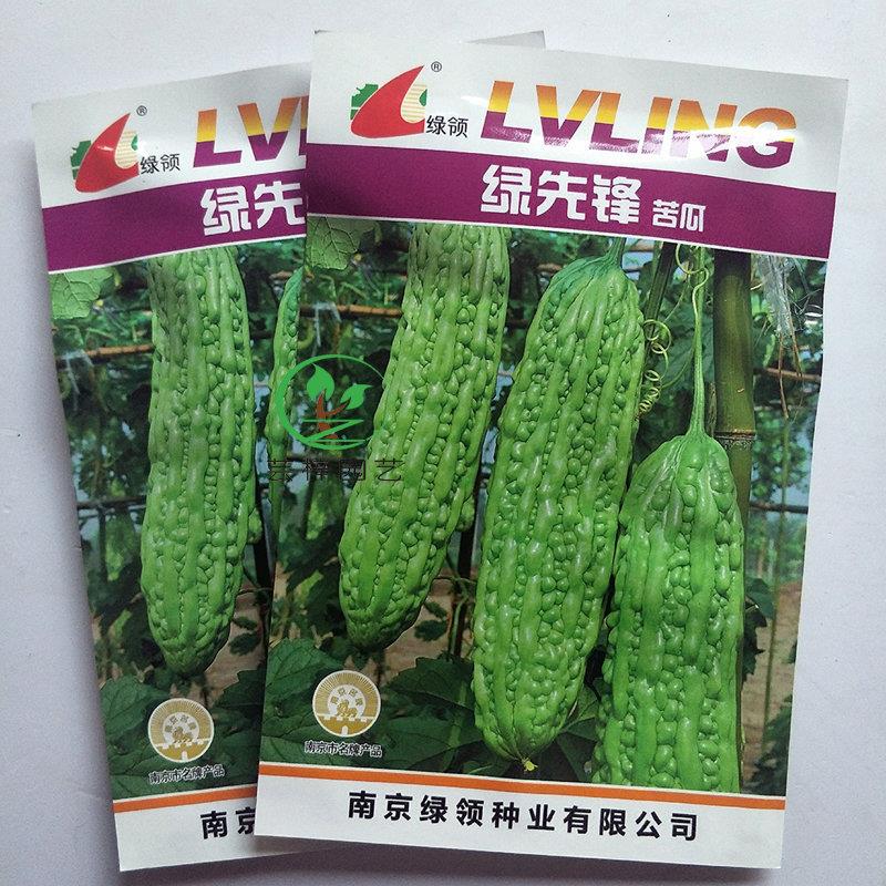 绿领种业 绿先锋苦瓜种子 早熟高产抗病大田农家四季播绿苦瓜种籽