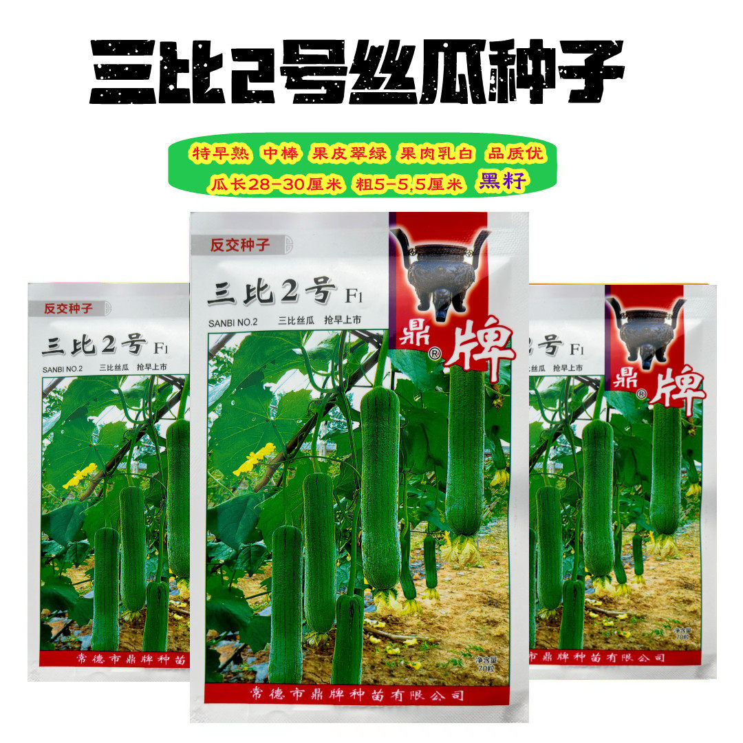 鼎牌三比2号特早熟绿皮