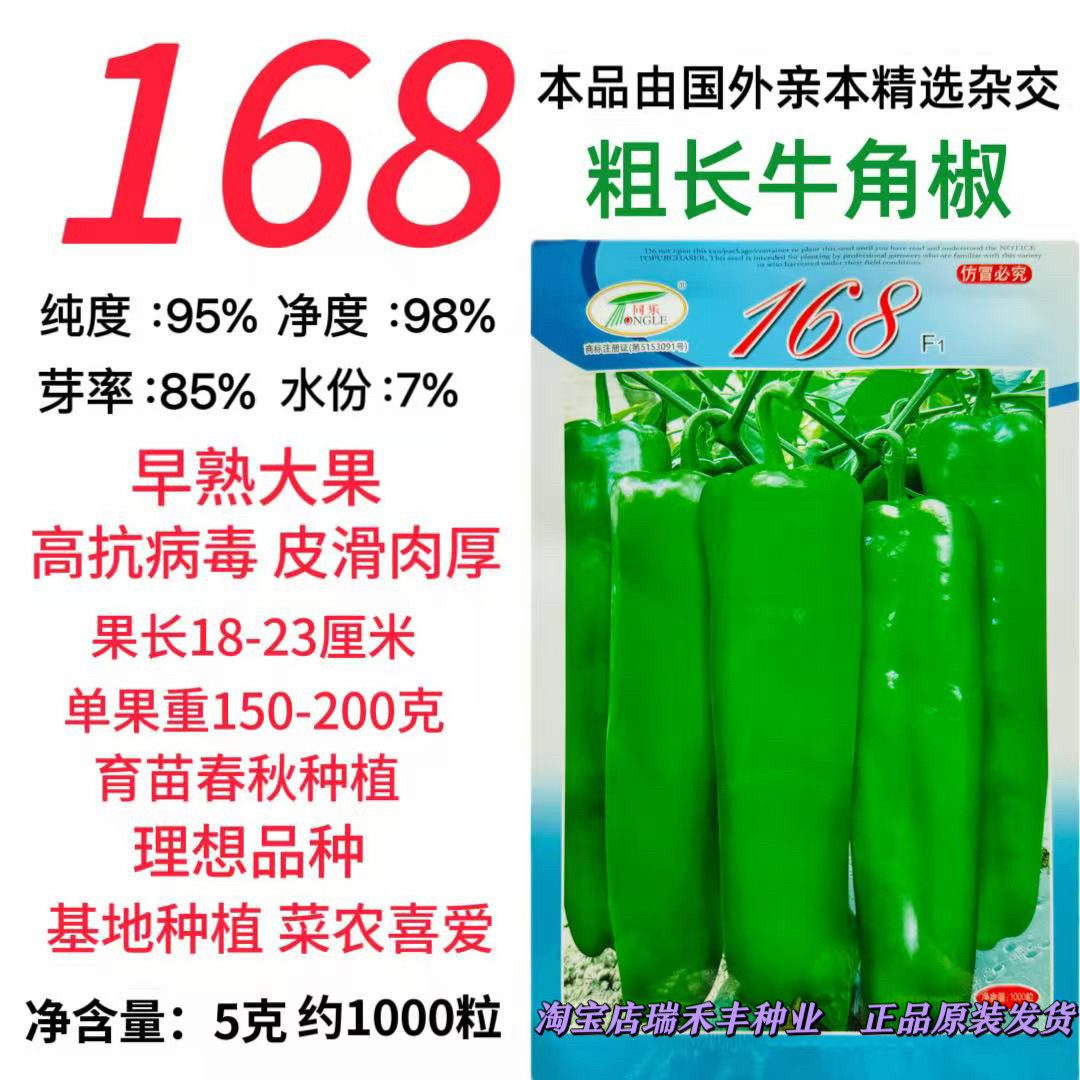 同乐168辣椒种子中早熟国