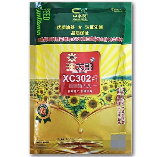 油太郎超级矮大头XC302 向日葵种子高产耐旱抗倒伏适广性强抗病强