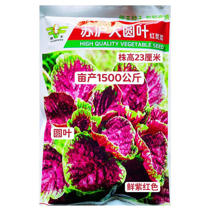 苏沪大圆叶红苋菜种子耐